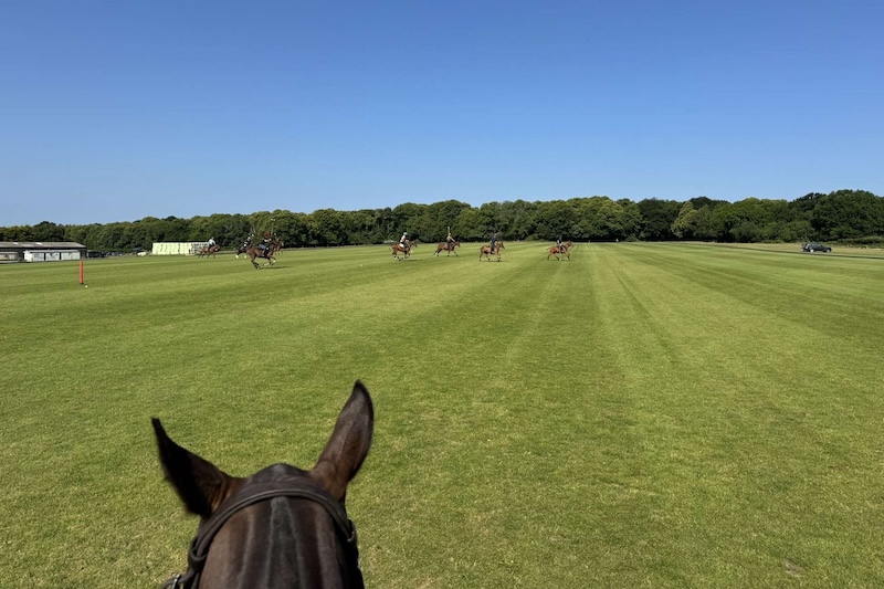 New concrete driveway and foundations